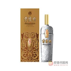 景阳冈52°窖藏66白酒