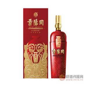 景阳冈52°窖藏99白酒
