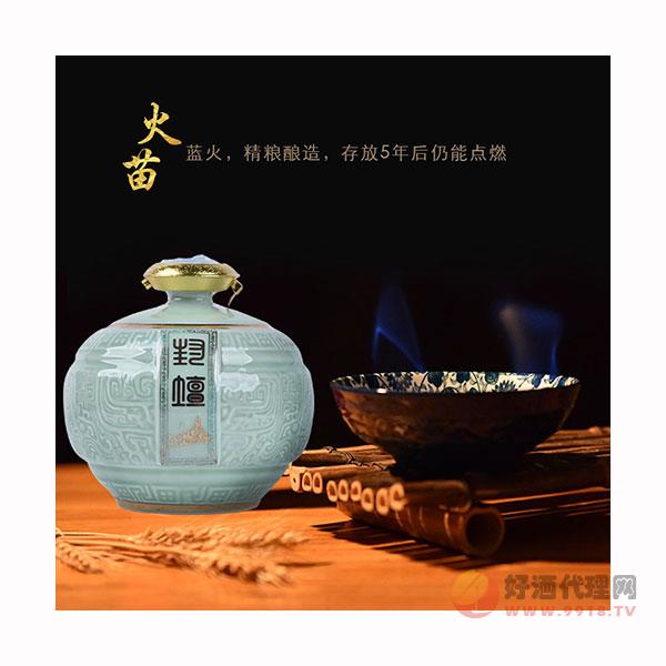 白酒坛装5年陈酿纯粮酒52°浓香型白酒