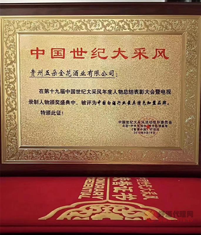 中国世纪大风采