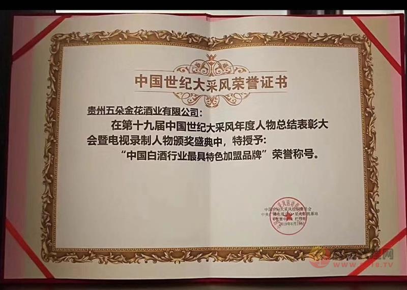 中国世纪大风采荣誉证书