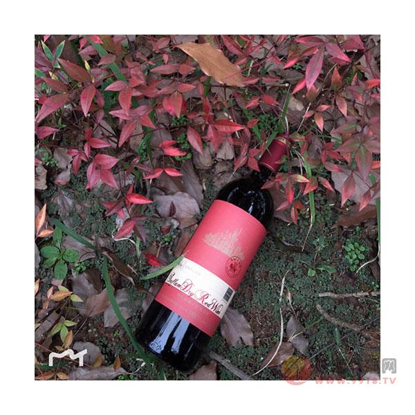红酒法国原浆西夫拉姆酒堡进口干红葡萄酒