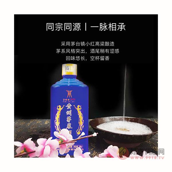 金园台贵州茅台镇纯高粱坤沙53度酱香陈年白酒茅晨酒