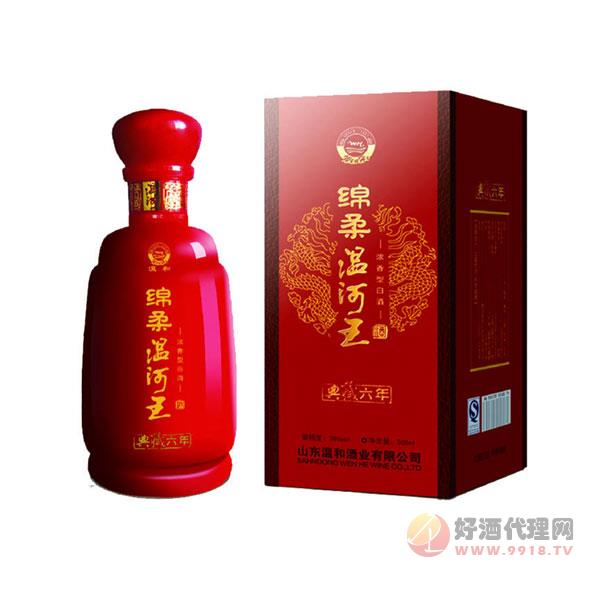 6年典藏绵柔温河王白酒