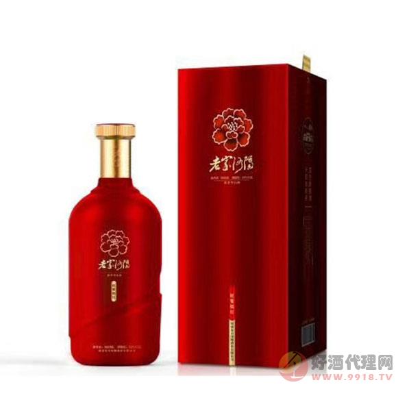 老家洛阳酒-卓尔不群红瓶500ml