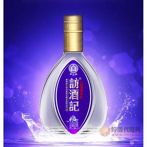 访酒记光瓶500ml