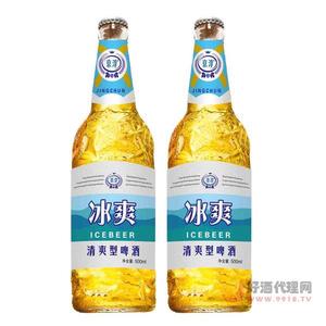 冰爽啤酒500ml