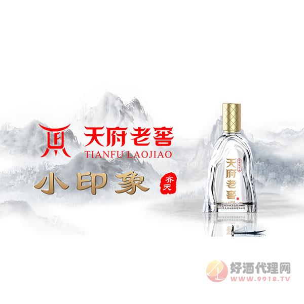 天府老窖小印象白酒500ml