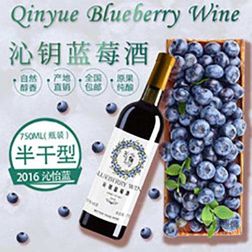 2016沁怡蓝半干型蓝莓酒750ml