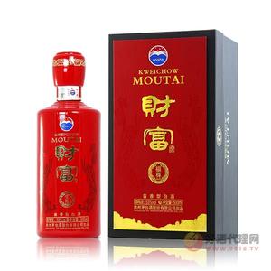 财富酒-福尊53度500ml