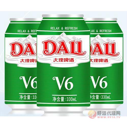 大理啤酒V6-330ml
