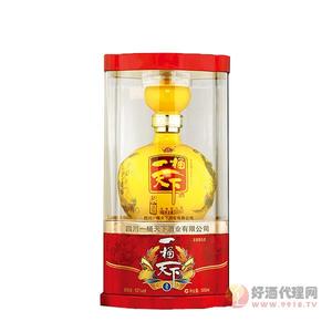 一桶天下9N52度500ml白酒