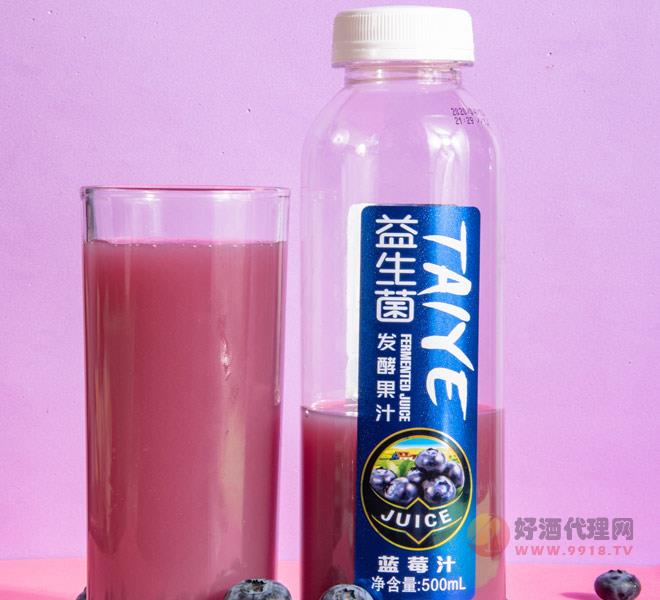 泰爷益生菌发酵蓝莓汁500ml