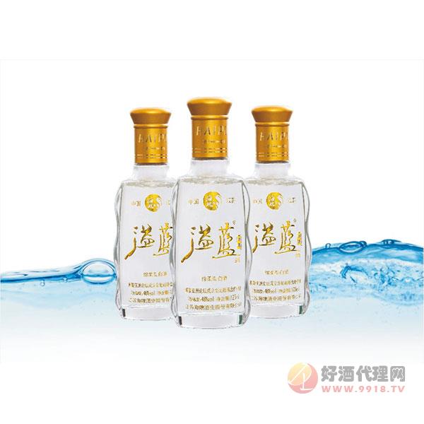 溢蓝欢聚46%vol白酒500ml