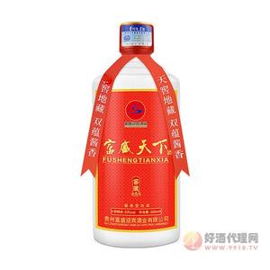 富盛天下窖龄5年白酒500ml