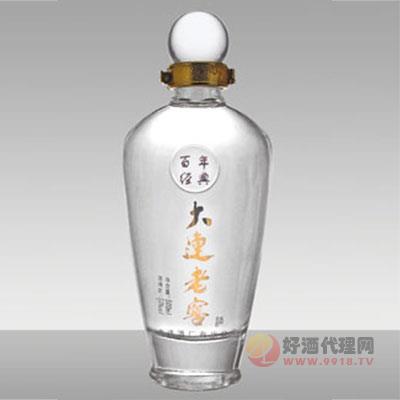 晶白玻璃瓶017-500ml