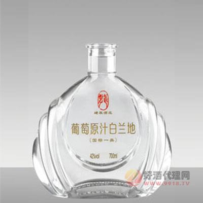 洋酒瓶RY001-700ml