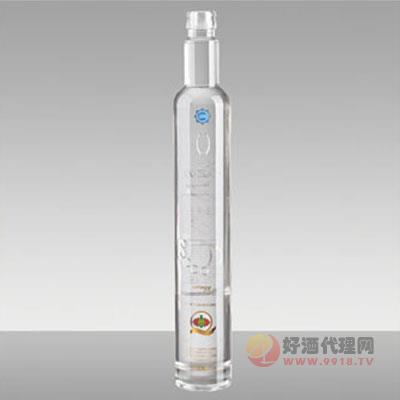 洋酒瓶RY064-500ml