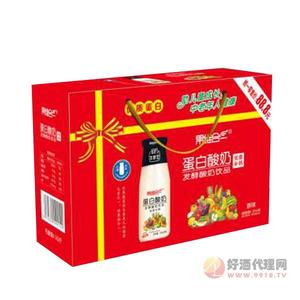 果维合一蛋白发酵酸奶饮品礼盒