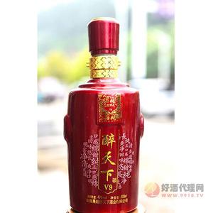 醉天下V9系列白酒500ml
