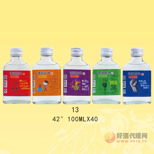 漂泊在外酒42度100ml