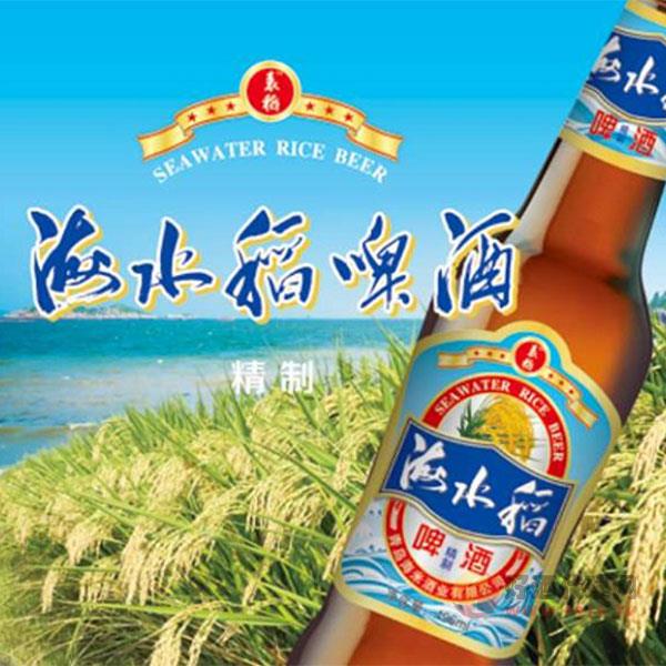 海米稻精制啤酒500ml