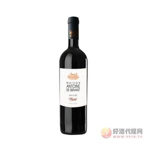 安东尼之家美乐干红葡萄酒