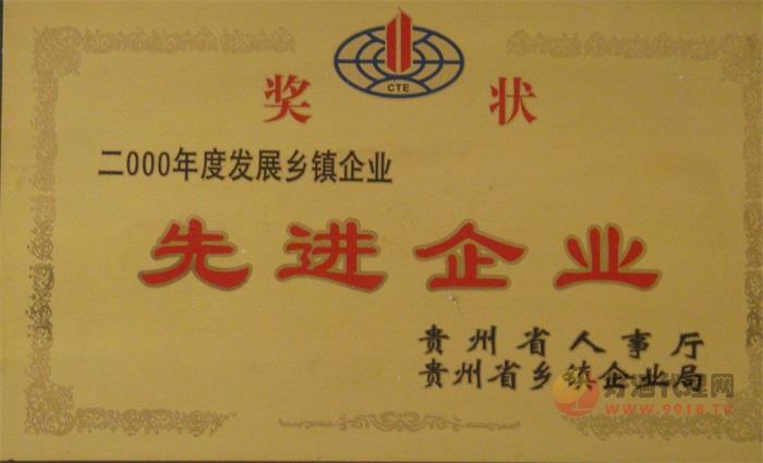 2000年公司荣获贵州省委、省政府先进企业