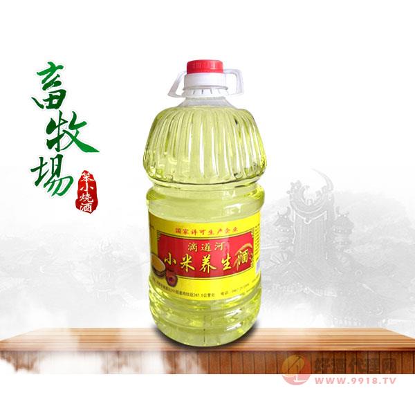 滴道河小米养生酒瓶装