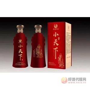 五岳风范小天下白酒500ml