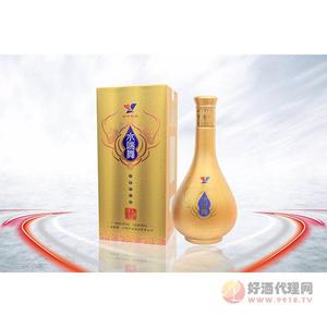 水端舞舞动奇迹52度白酒500ml