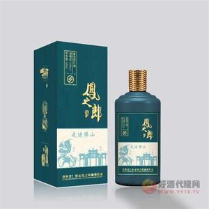 凤之郎走进酒53度500ml