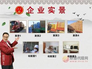 企业实景