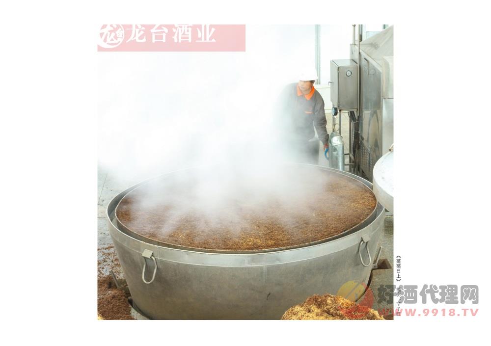 酿造车间 (2)