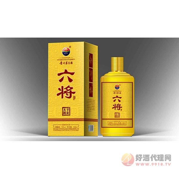 子龙大将白酒500ml