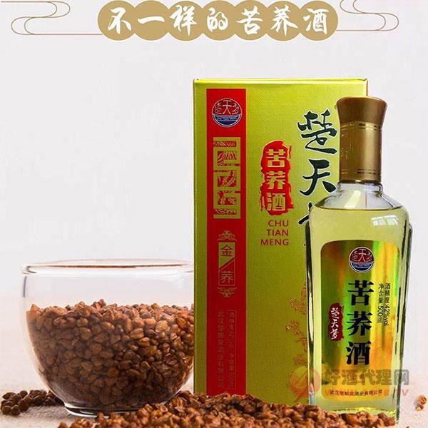 楚天梦苦荞酒金荞42度500ml
