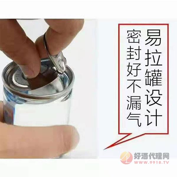 罐醉拉环150ml