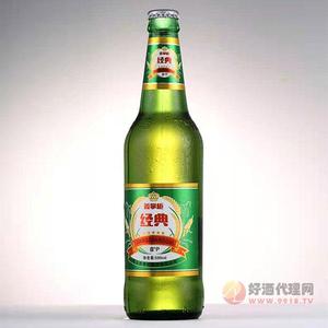 姜掌柜经典啤酒500ml