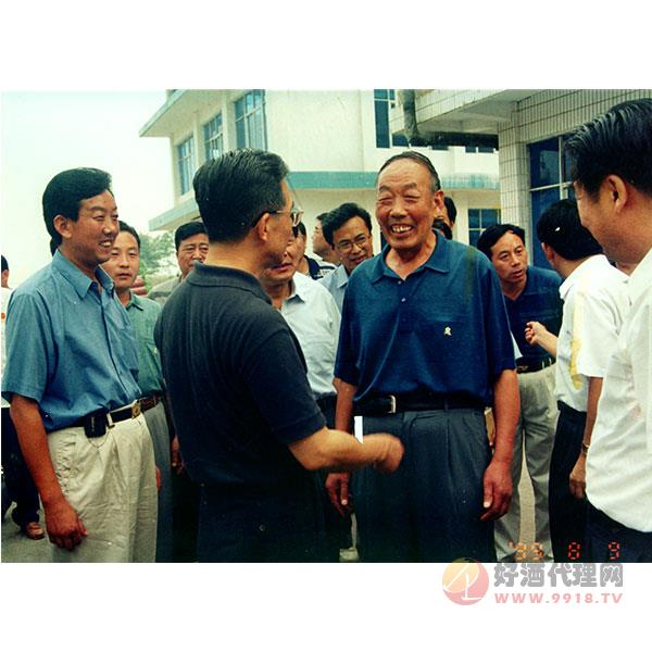 中央领导视察30】