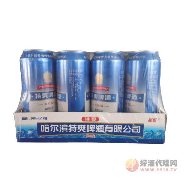 贝哈瑞特爽啤酒半托500ml