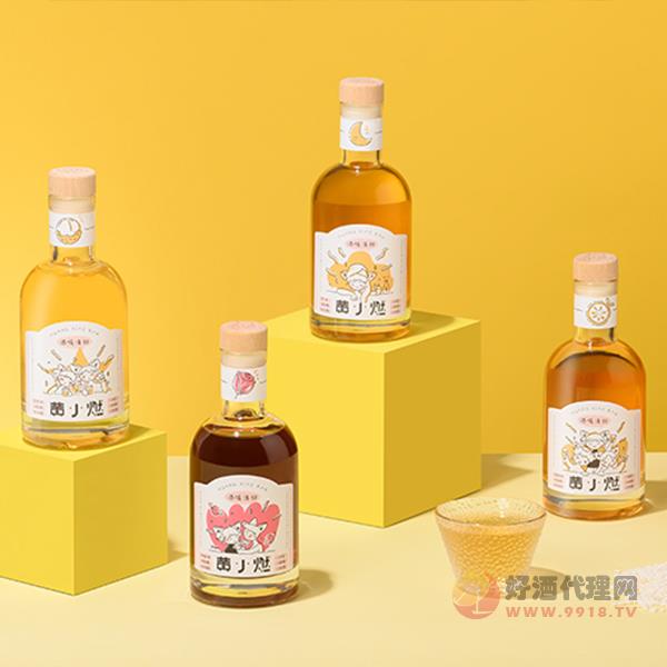 黄小燃果酒瓶装