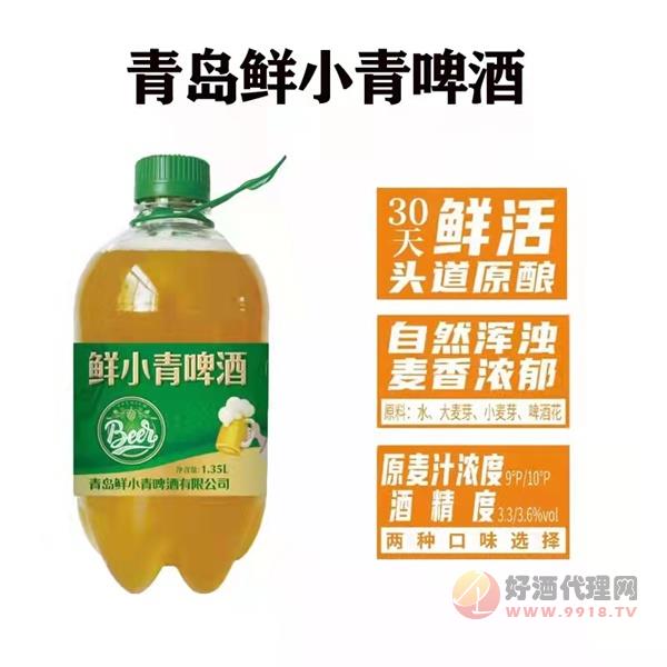 鲜小青啤酒1.35L