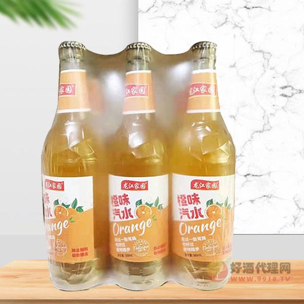 龙江家园橙味饮料500ml