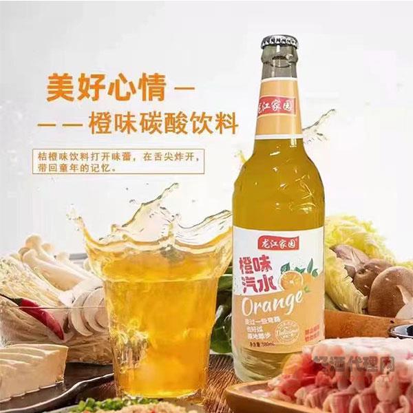 龙江家园橙味碳酸饮料580ml