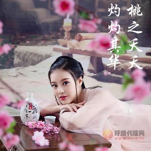 花间一壶酒银花42度500ml