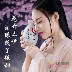 花间一壶酒银花42度500ml