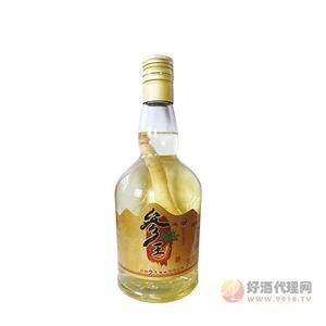 参王爷人参酒瓶装500ml