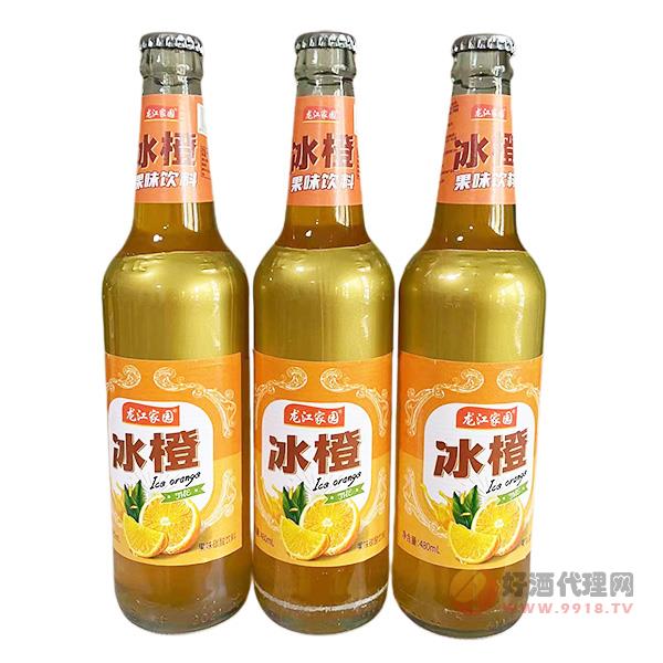 龙江家园冰橙果味饮料480ml