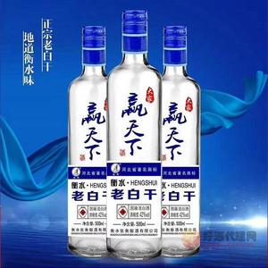 赢天下老白干酒42度500ml
