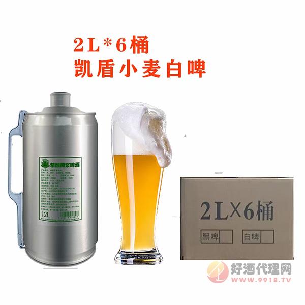 凯盾小麦白啤2Lx6桶